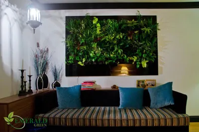 Изображение: домашние зеленые стены – новый тренд в декорировании интерьера