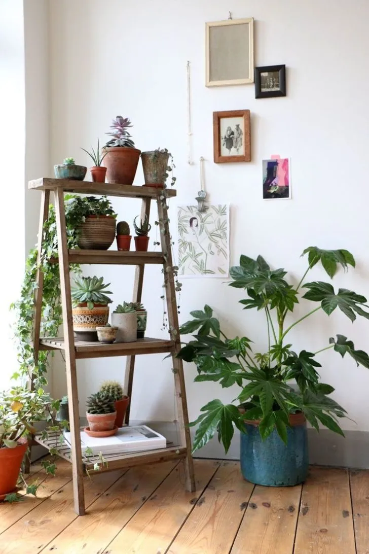 Фото: как создать вертикальное озеленение в доме, чтобы оно выглядело .