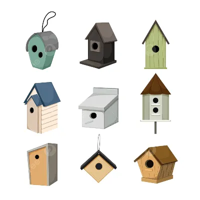 мультяшный домик для птиц PNG , иллюстрация, Любовь, Филиал PNG картинки и  пнг рисунок для бесплатной загрузки