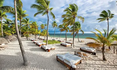 10 лучших пляжей Доминиканы 2023 ☀️ Фото, описание, туры