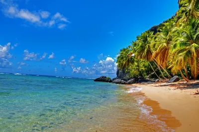 Остров Доминикана (71 фото) - 71 фото