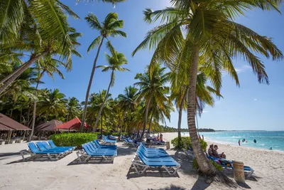 Доминикана 2024 🇩🇴: всё что нужно знать туристу о Доминиканской республике