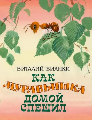 Самая лучшая дорога в мире - дорога домой... :: Валерий Рыкунов –  Социальная сеть ФотоКто