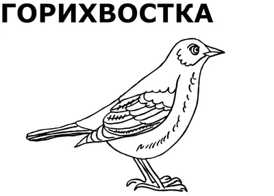 В детском саду Нижегородского отметили Всемирный день перелетных птиц