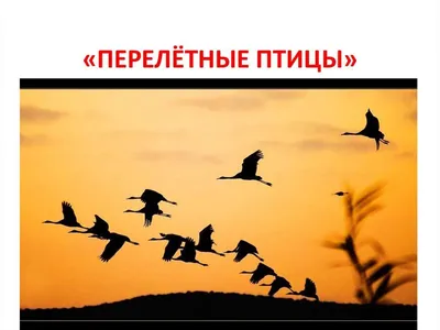 Весенние поделки: птицы из бумаги | Материнство - беременность, роды,  питание, воспитание