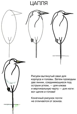 Птицы перелётные. Весна