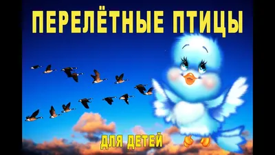 Раскраски: перелетные птицы для детей