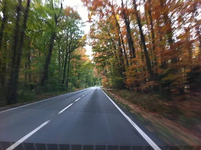 картинки : дерево, Дорога, шоссе, водить машину, Осень, Скорость, полоса  дороги, Инфраструктура 2592x1936 - - 993526 - красивые картинки - PxHere