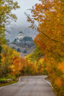 Осенняя природа дорога - фото и картинки: 66 штук