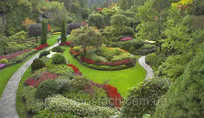 Как оформить сад красивыми дорожками и аллеями: фото-вдохновение