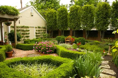 Фотография Дорожки И Аллеи: сделайте ваш сад более удобным для прогулок