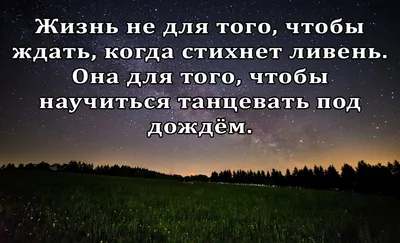 Денежный дождь от чешского блогера. В чем смысл странной акции? - Минская  правда