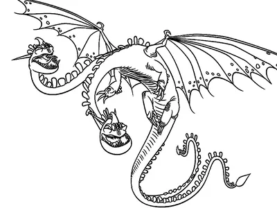 Раскраска Как приручить дракона 🖍. Раскрашиваем любимыми цветами бесплатно  и с улыбкой 👍