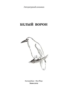 Рассказы региональных победителей четвертого сезона Всероссийского  литературного конкурса \"Класс!\"