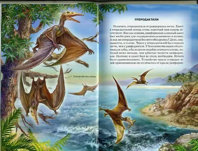 Характеристики модели Дунаева Ю.А. \"Летающие ящеры и древние птицы\" —  Познавательная литература — Яндекс Маркет
