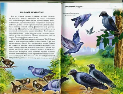 Изображение птицы Сирин в старообрядческой книге, хранящейся в Ветковском  музее народного творчества | Древние символы, Рисунки, Искусство