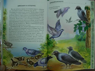Иллюстрация 6 из 23 для Летающие ящеры и древние птицы. Школьный  путеводитель - Юлия Дунаева | Лабиринт -