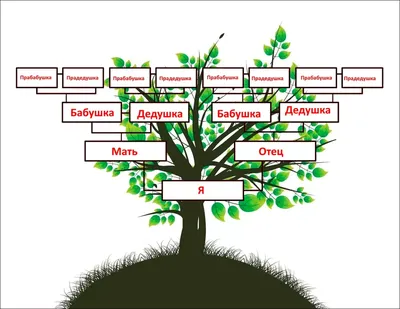 Генеалогическое дерево семьи: красочные готовые шаблоны и инструкции