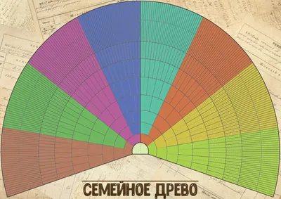 Как составить генеалогическое древо семьи: шаблоны и инструкции