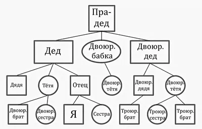 Генеалогическое дерево раскраска - 71 фото