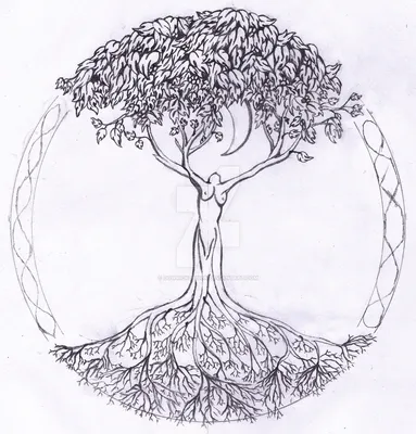 Древо Жизни (Древо Сефирот) | Древо жизни, Кельтское дерево, Карты таро