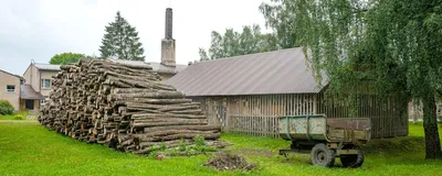 Какие дрова к берёзовым добавляли наши предки для правильной топки и почему  | Постройка.Дом! | Дзен