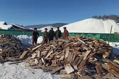 Купить Алкогольные фанты «В дрова», 20 карт (6991285) в Крыму, цены,  отзывы, характеристики | Микролайн