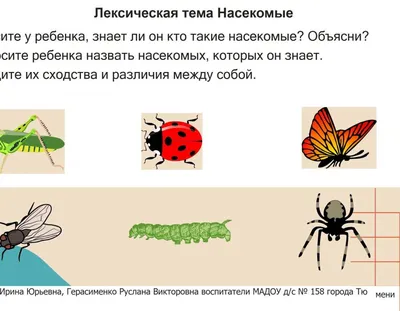 Юных челябинцев приглашают поиграть в друдлы - KP.RU