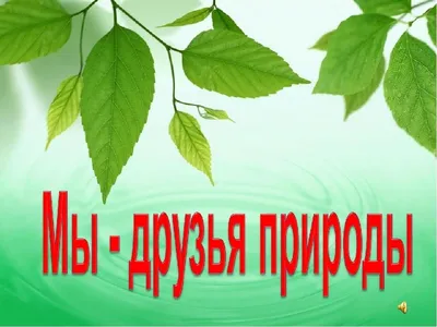 Кружки и клубы