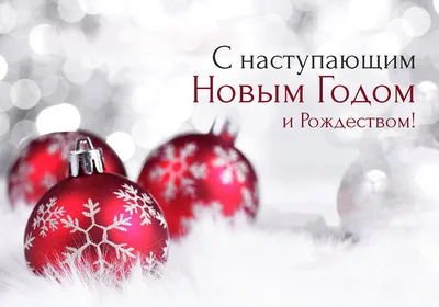 С Новым Годом, уважаемые друзья и коллеги! - Bioveta a.s. Russia