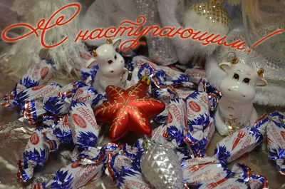 С Новым годом и Рождеством! Оршанцы поздравляют родных, друзей, коллег и  клиентов — Новости Орши