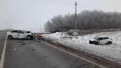 Двое взрослых погибли и трое детей пострадали в ДТП в Воронежской области