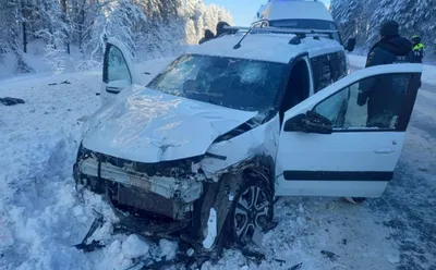 В Комсомольском районе Чувашии произошло ДТП с участием гужевой повозки |  11.06.2019 | Чебоксары - БезФормата