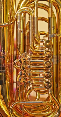 Почему саксофон относят к деревянным духовым инструментам, если он сделан  из металла | Музыкальные картинки | Дзен