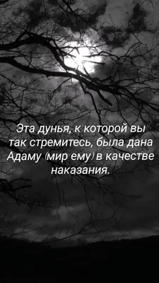 День архитекторов мира 5 октября : Дунья-мимарлар-гуну 5 эким Иллюстрация  вектора - иллюстрации насчитывающей оборудование, эскиз: 238694797