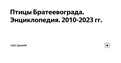 Птенцы мухоловки-пеструшки узнают свой родной песенный диалект • Антон  Морковин • Новости науки на «Элементах» • Орнитология, Этология