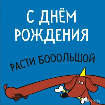 Прикольные картинки и открытки Женщине на День рождения – Привет Пипл!