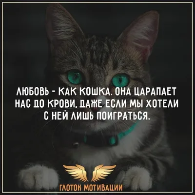 Пожелания хорошего дня в картинках, своими словами, в стихах, в смс и  христианские пожелания доброго дня — Украина