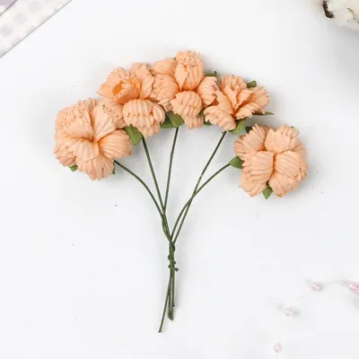 Ветка гвоздики. 3 цветка 2 бутона купить по выгодной цене в  интернет-магазине KALINA