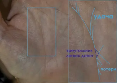 Изображение руки с двумя линиями жизни в формате PNG