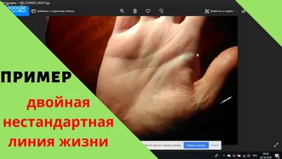 Картинка руки с двумя линиями жизни в формате WebP