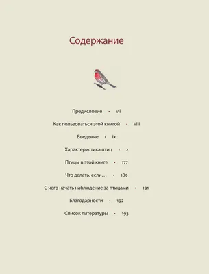 Картинки две птицы в небе (70 фото) » Картинки и статусы про окружающий мир  вокруг