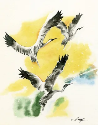 2 Морские птицы в полете стоковое изображение. изображение насчитывающей  биографической - 197355933
