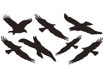 опила птица вектор PNG , мультфильм птица, милая птица, чудовищные птицы  PNG картинки и пнг рисунок для бесплатной загрузки