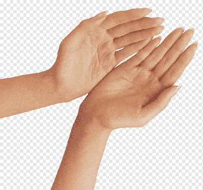 Фотография двух рук, которые держат кисти
