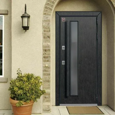 Входные двери в частный дом или квартиру – критерии выбора