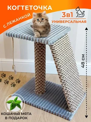 Необычные игрушки для кошек | ВКонтакте