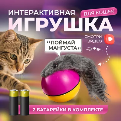 Когтеточка ДОМИК ДЛЯ КОШЕК - 6 необычных фактов про кошачий язык 👅 Факт  №1: у кошки на языке есть «шипы» Все знают о шершавости кошачьего языка.  Все дело в том, что у