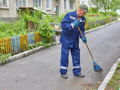 Не будешь учиться — дворником будешь!\". Вот почему не надо говорить это  своим детям | ПРЕСКЕВЮ | Дзен