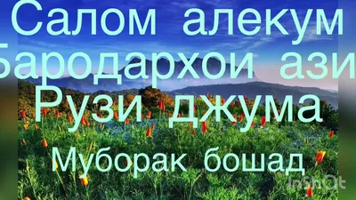 Картинки с пятницей мусульманские с пожеланиями красивые (48 фото) »  Красивые картинки, поздравления и пожелания - Lubok.club